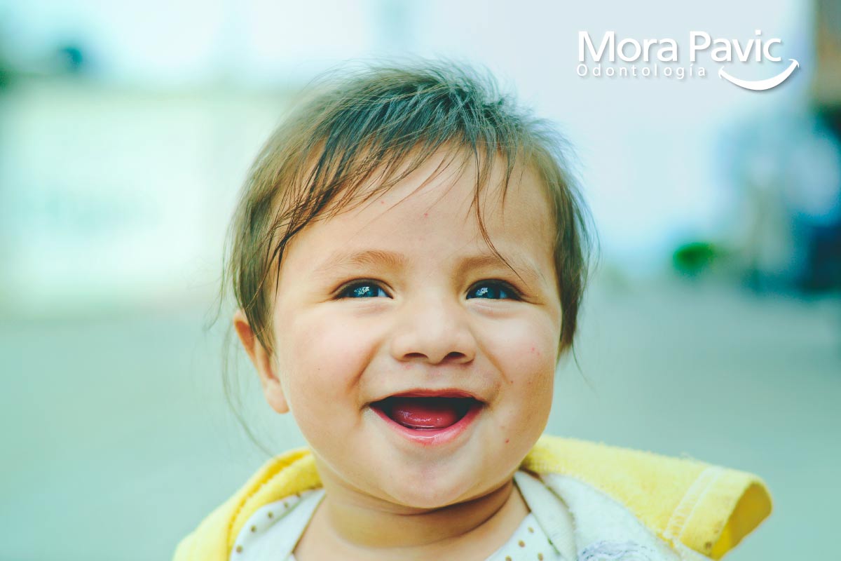 dientes de leche